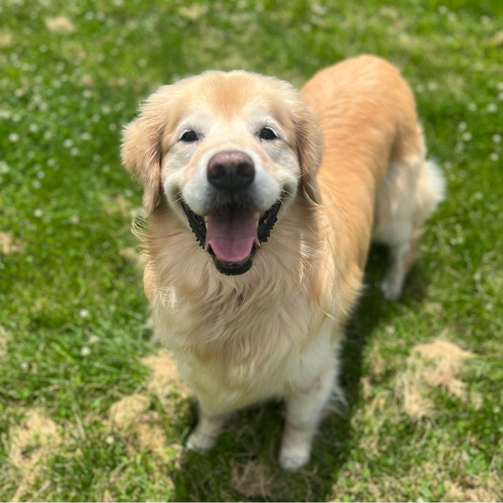 Meet your Posher, Ali